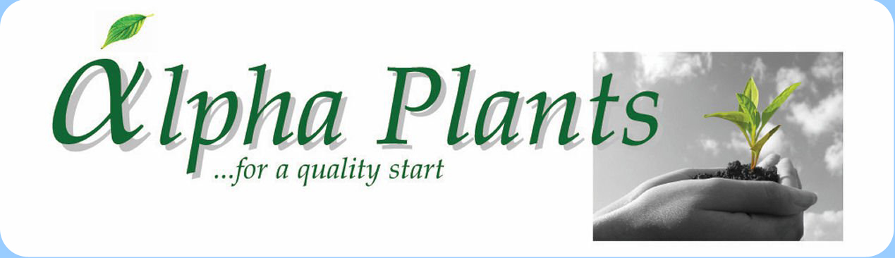 alpha plants Logo